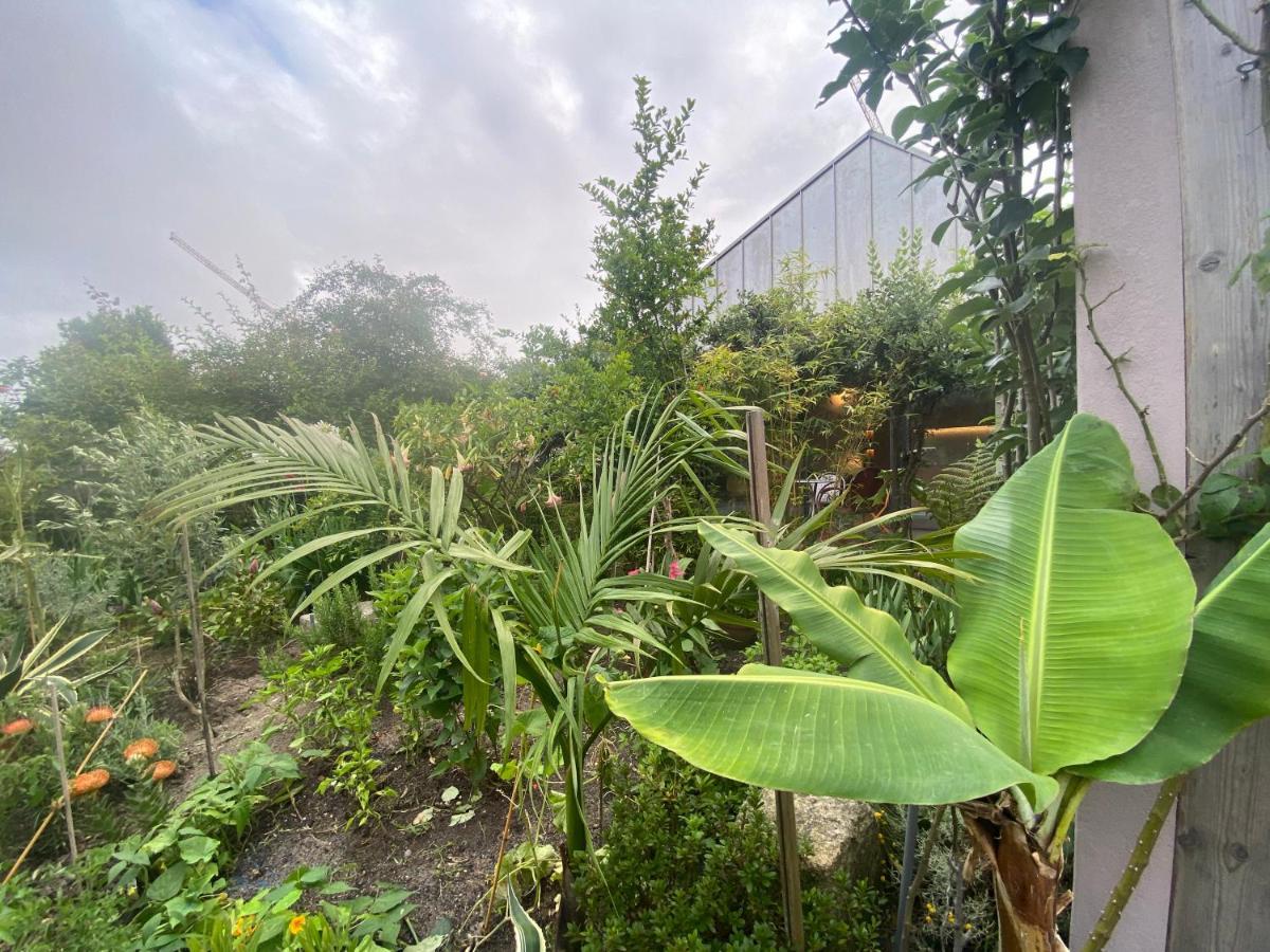 Koko Garden Apartment Porto Eksteriør billede